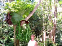 doubleclick for enlargement