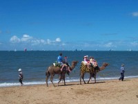 doubleclick for enlargement