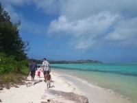 doubleclick for enlargement