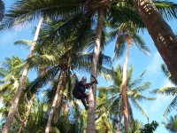 doubleclick for enlargement