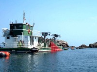 mosseloogst in Golden Bay